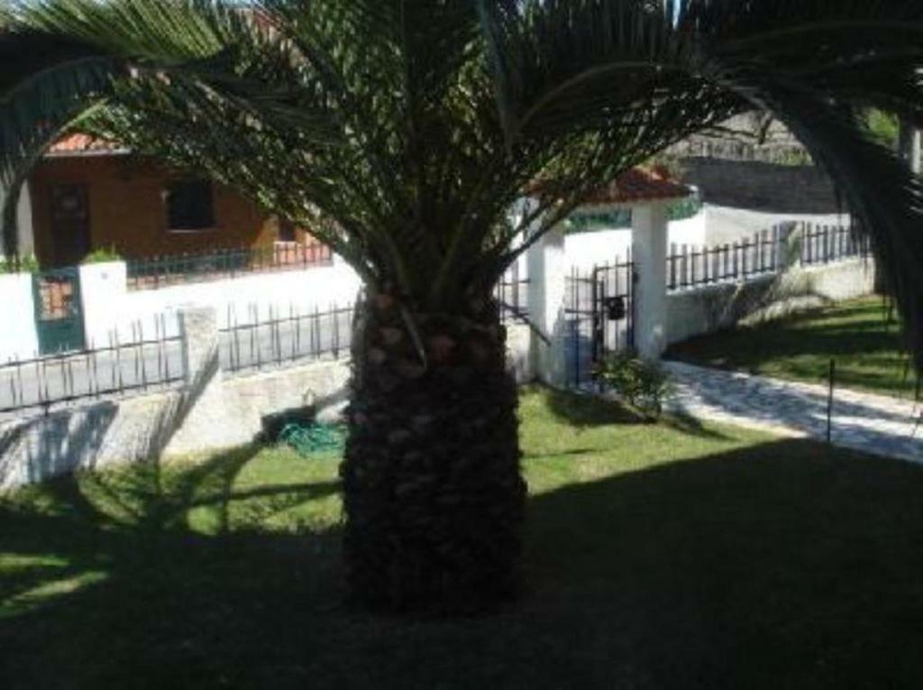 Hotel Vivenda Atlantico Vila Praia de Âncora Zewnętrze zdjęcie